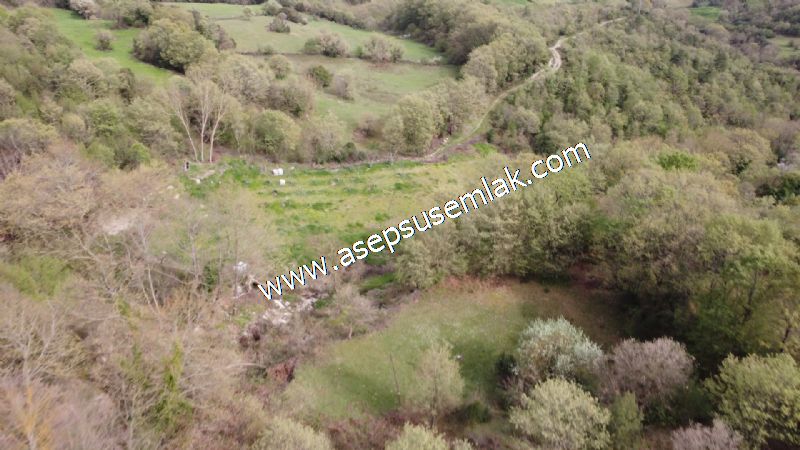 8.115 M2 Yatırımlık Tarla Arıcılık, Hayvancılık Orman'a Cepheli