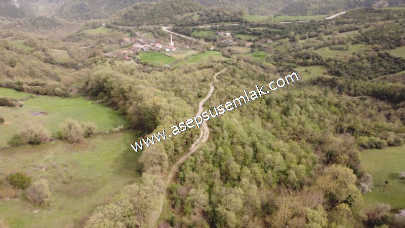 8.115 M2 Yatırımlık Tarla Arıcılık, Hayvancılık Orman'a Cepheli