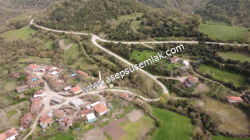 8.115 M2 Yatırımlık Tarla Arıcılık, Hayvancılık Orman'a Cepheli