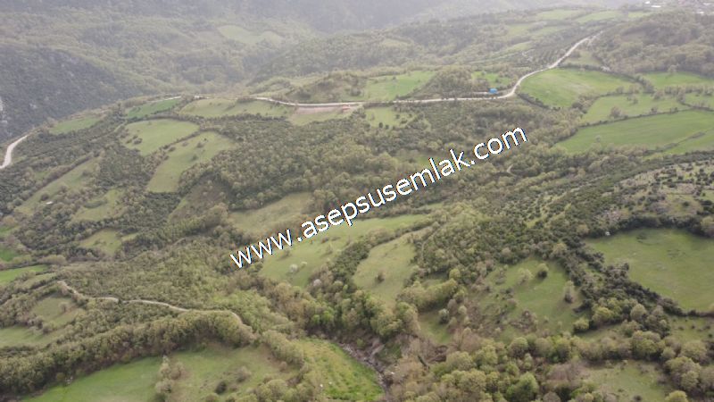 8.115 M2 Yatırımlık Tarla Arıcılık, Hayvancılık Orman'a Cepheli