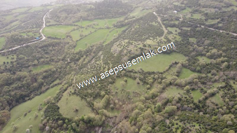 8.115 M2 Yatırımlık Tarla Arıcılık, Hayvancılık Orman'a Cepheli