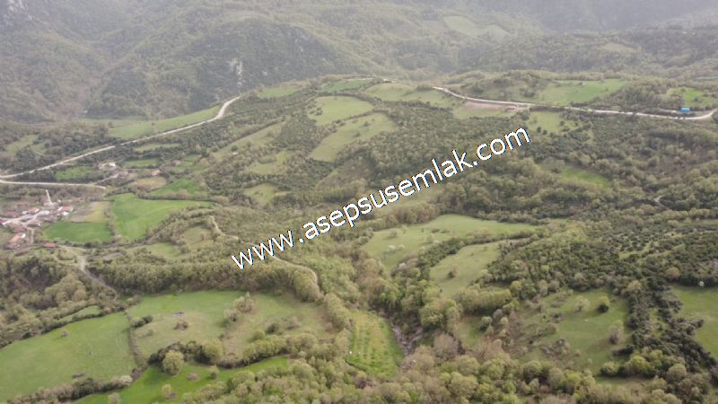 8.115 M2 Yatırımlık Tarla Arıcılık, Hayvancılık Orman'a Cepheli