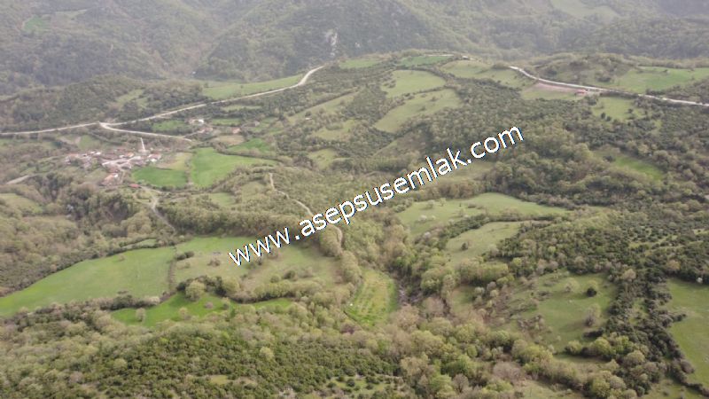 8.115 M2 Yatırımlık Tarla Arıcılık, Hayvancılık Orman'a Cepheli