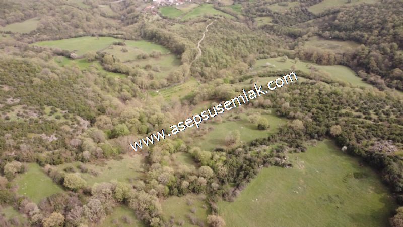 8.115 M2 Yatırımlık Tarla Arıcılık, Hayvancılık Orman'a Cepheli