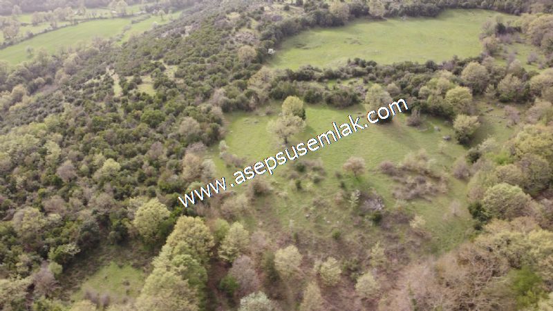 8.115 M2 Yatırımlık Tarla Arıcılık, Hayvancılık Orman'a Cepheli