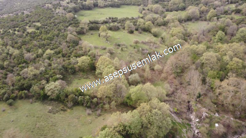 8.115 M2 Yatırımlık Tarla Arıcılık, Hayvancılık Orman'a Cepheli