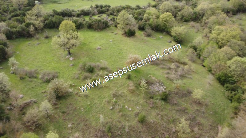 8.115 M2 Yatırımlık Tarla Arıcılık, Hayvancılık Orman'a Cepheli