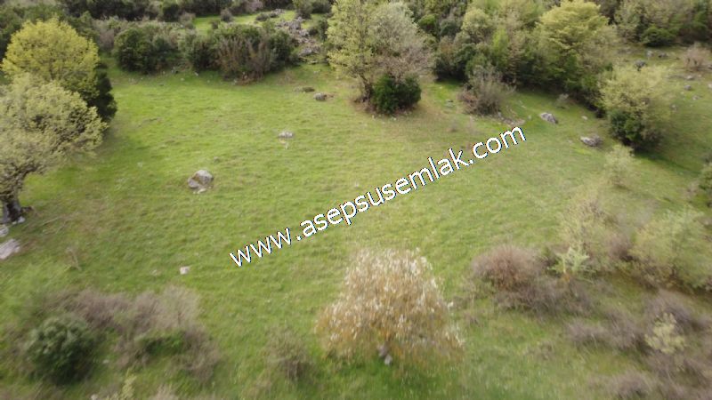 8.115 M2 Yatırımlık Tarla Arıcılık, Hayvancılık Orman'a Cepheli