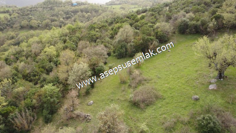 8.115 M2 Yatırımlık Tarla Arıcılık, Hayvancılık Orman'a Cepheli