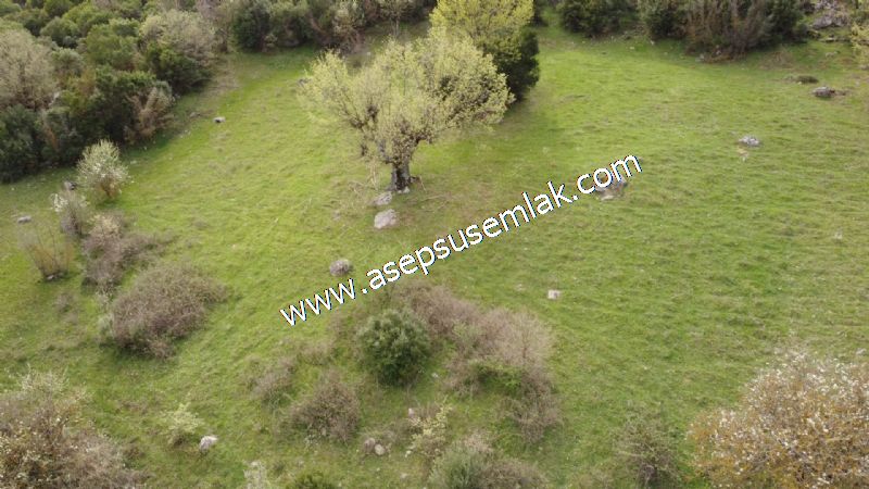 8.115 M2 Yatırımlık Tarla Arıcılık, Hayvancılık Orman'a Cepheli