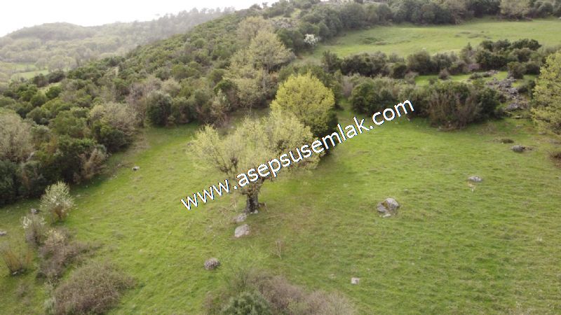 8.115 M2 Yatırımlık Tarla Arıcılık, Hayvancılık Orman'a Cepheli