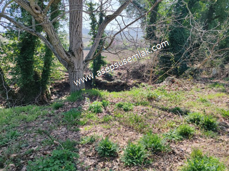 660 M2 Gönen Asfalt ve Dere Dibi %40 2 Kat İmarlı Arsa Satılık