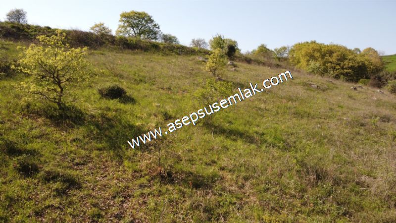 10.918 M2 Yatırımlık Tarla Arıcılık, Hayvancılık Orman'a Cepheli