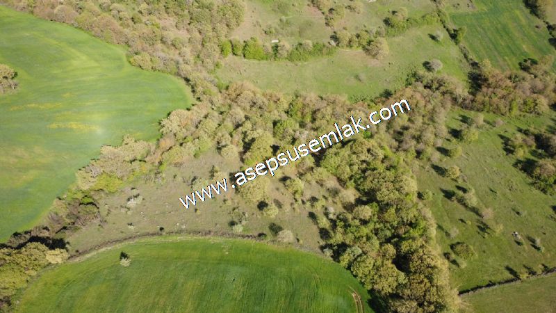 10.918 M2 Yatırımlık Tarla Arıcılık, Hayvancılık Orman'a Cepheli