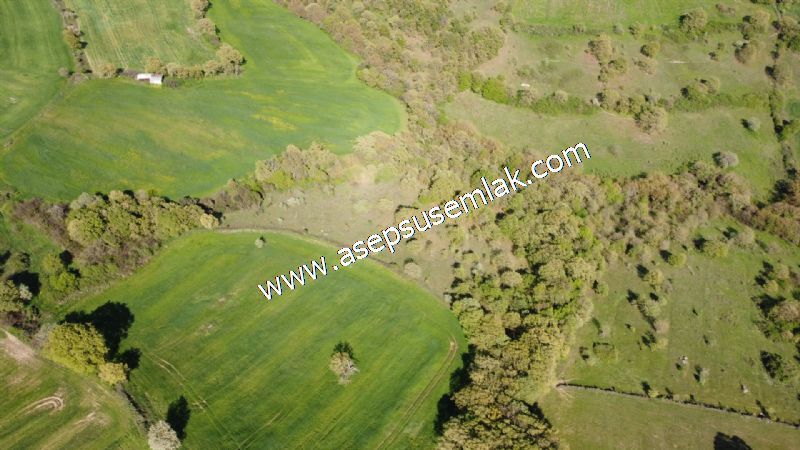 10.918 M2 Yatırımlık Tarla Arıcılık, Hayvancılık Orman'a Cepheli
