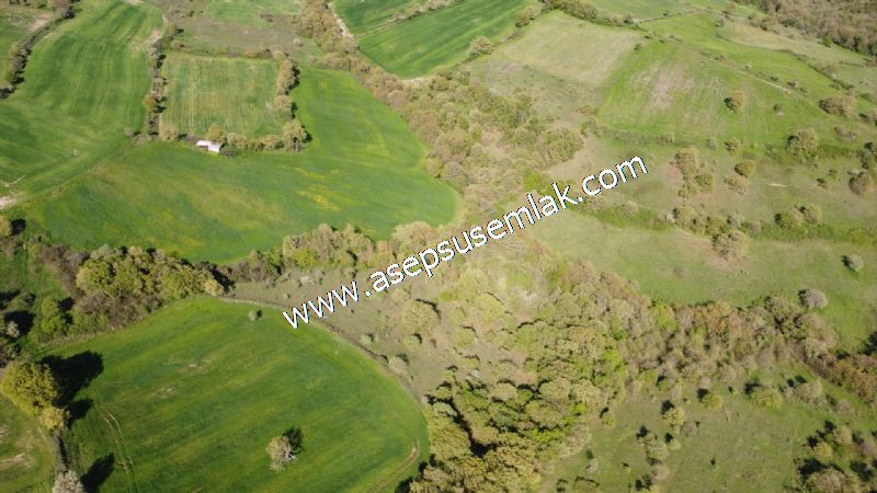 10.918 M2 Yatırımlık Tarla Arıcılık, Hayvancılık Orman'a Cepheli