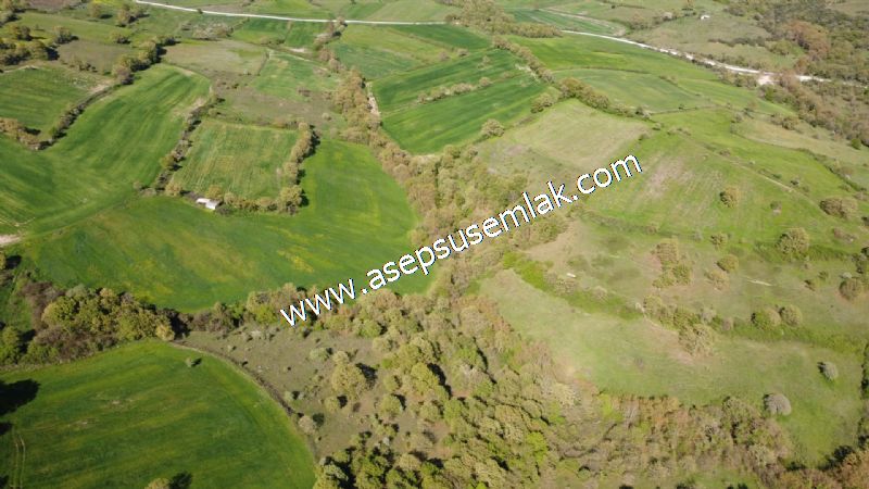 10.918 M2 Yatırımlık Tarla Arıcılık, Hayvancılık Orman'a Cepheli