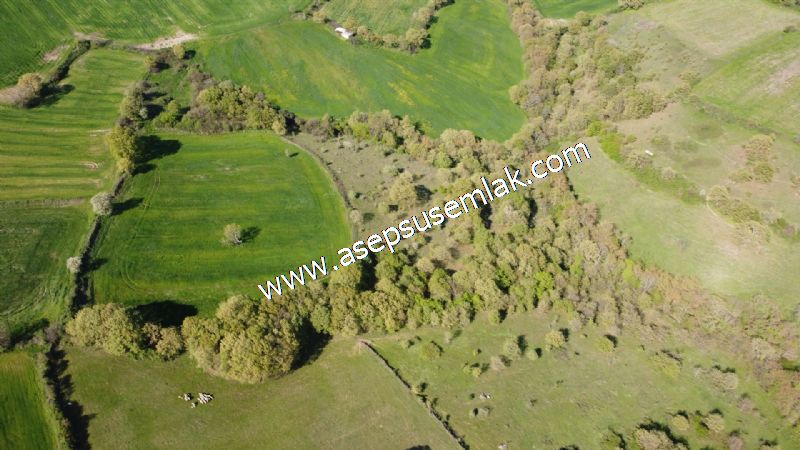 10.918 M2 Yatırımlık Tarla Arıcılık, Hayvancılık Orman'a Cepheli