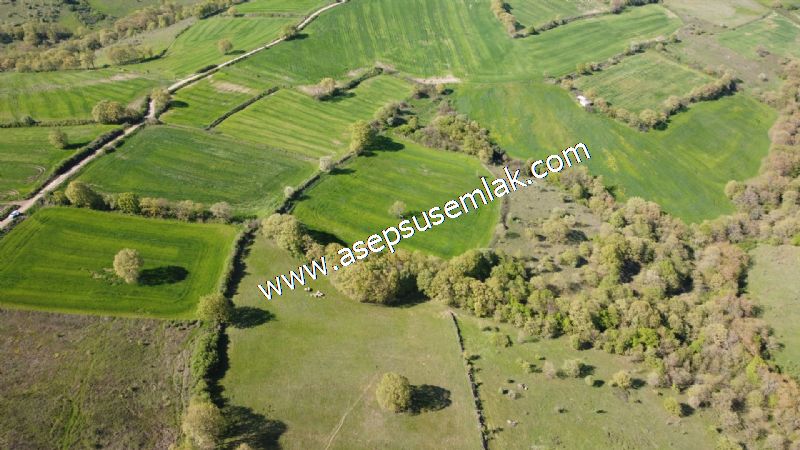 10.918 M2 Yatırımlık Tarla Arıcılık, Hayvancılık Orman'a Cepheli