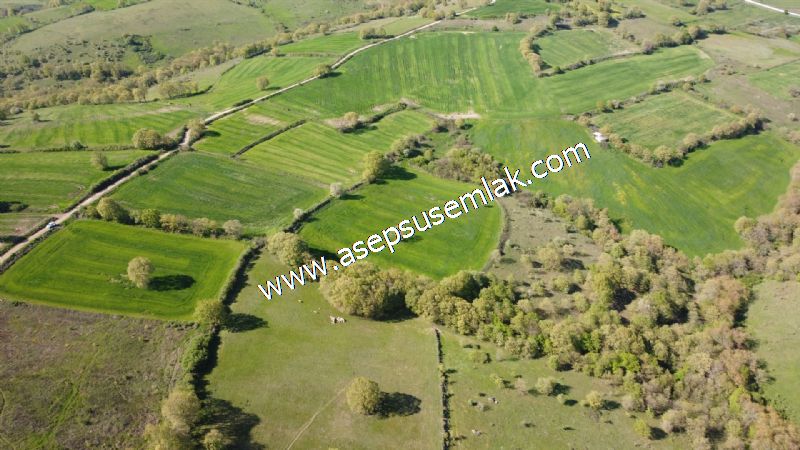 10.918 M2 Yatırımlık Tarla Arıcılık, Hayvancılık Orman'a Cepheli