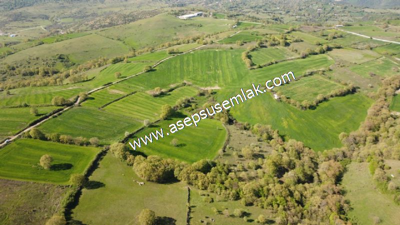 10.918 M2 Yatırımlık Tarla Arıcılık, Hayvancılık Orman'a Cepheli