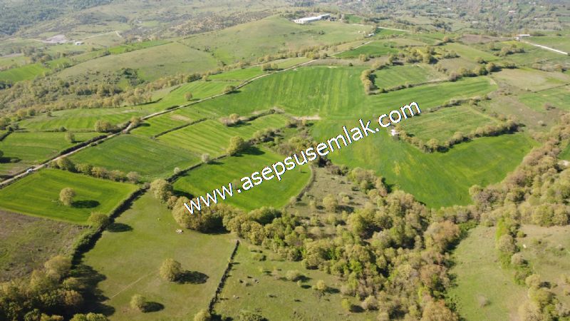 10.918 M2 Yatırımlık Tarla Arıcılık, Hayvancılık Orman'a Cepheli