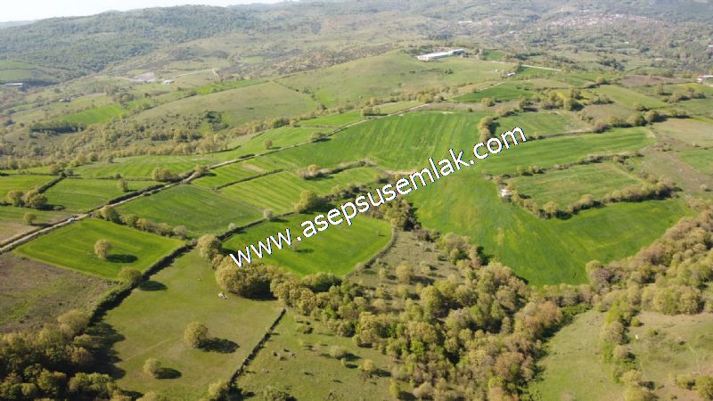 10.918 M2 Yatırımlık Tarla Arıcılık, Hayvancılık Orman'a Cepheli