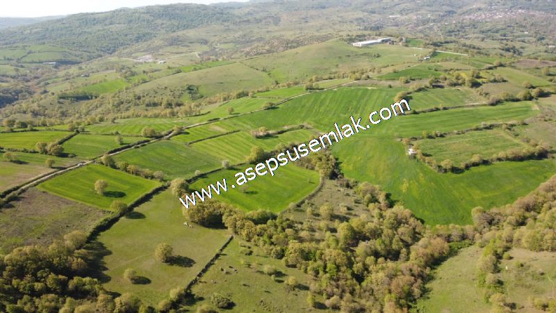 10.918 M2 Yatırımlık Tarla Arıcılık, Hayvancılık Orman'a Cepheli