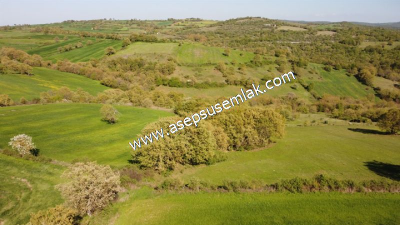 10.918 M2 Yatırımlık Tarla Arıcılık, Hayvancılık Orman'a Cepheli