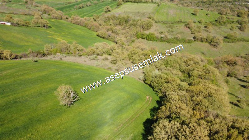 10.918 M2 Yatırımlık Tarla Arıcılık, Hayvancılık Orman'a Cepheli