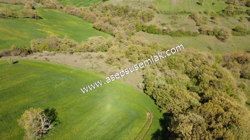 10.918 M2 Yatırımlık Tarla Arıcılık, Hayvancılık Orman'a Cepheli