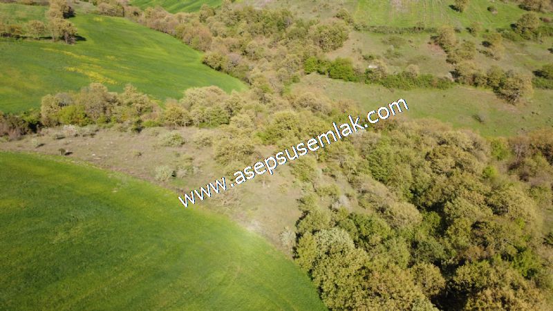 10.918 M2 Yatırımlık Tarla Arıcılık, Hayvancılık Orman'a Cepheli