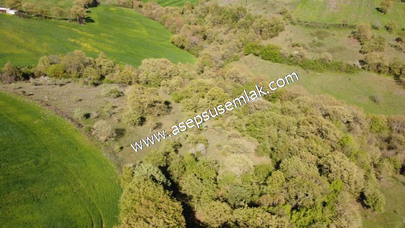 10.918 M2 Yatırımlık Tarla Arıcılık, Hayvancılık Orman'a Cepheli