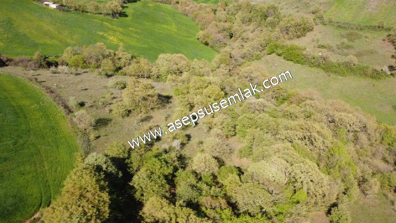 10.918 M2 Yatırımlık Tarla Arıcılık, Hayvancılık Orman'a Cepheli