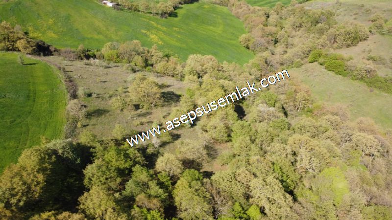 10.918 M2 Yatırımlık Tarla Arıcılık, Hayvancılık Orman'a Cepheli