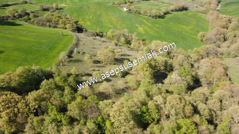 10.918 M2 Yatırımlık Tarla Arıcılık, Hayvancılık Orman'a Cepheli