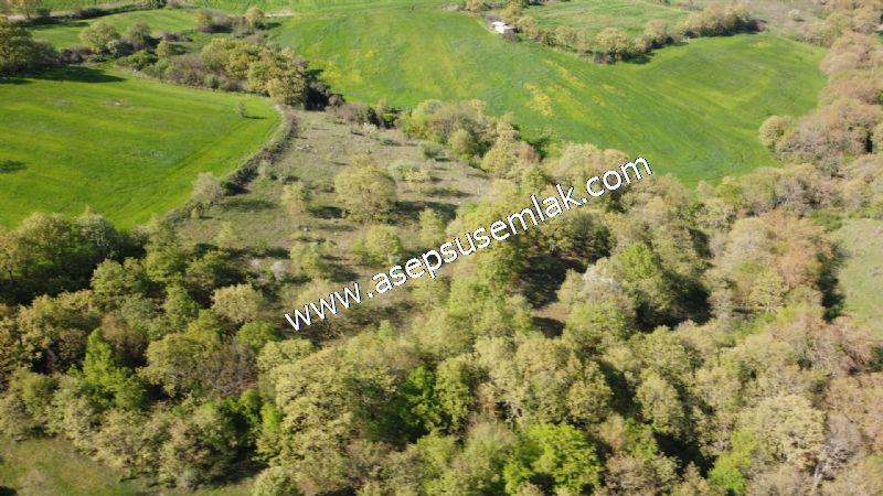 10.918 M2 Yatırımlık Tarla Arıcılık, Hayvancılık Orman'a Cepheli