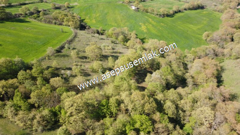 10.918 M2 Yatırımlık Tarla Arıcılık, Hayvancılık Orman'a Cepheli
