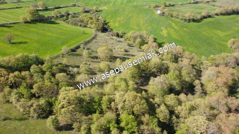 10.918 M2 Yatırımlık Tarla Arıcılık, Hayvancılık Orman'a Cepheli