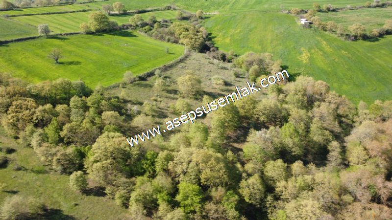 10.918 M2 Yatırımlık Tarla Arıcılık, Hayvancılık Orman'a Cepheli