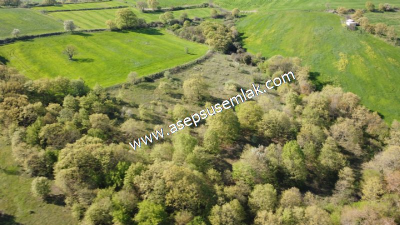 10.918 M2 Yatırımlık Tarla Arıcılık, Hayvancılık Orman'a Cepheli