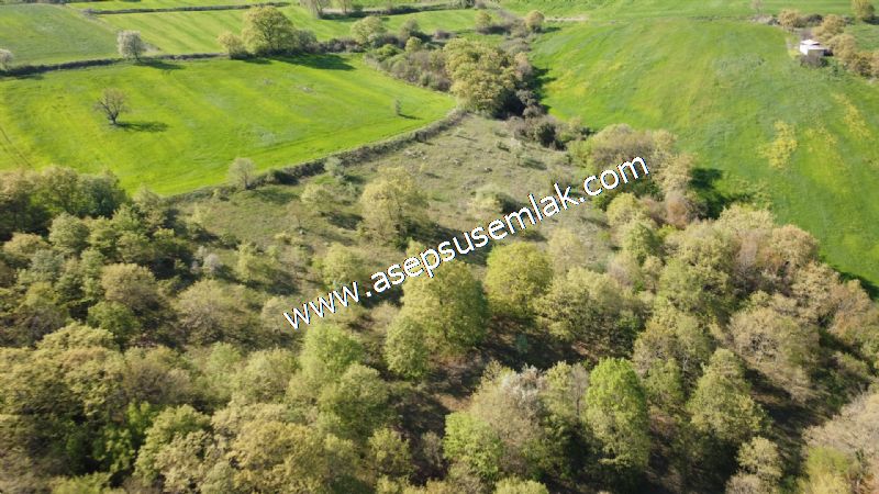 10.918 M2 Yatırımlık Tarla Arıcılık, Hayvancılık Orman'a Cepheli