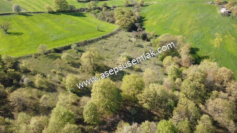 10.918 M2 Yatırımlık Tarla Arıcılık, Hayvancılık Orman'a Cepheli