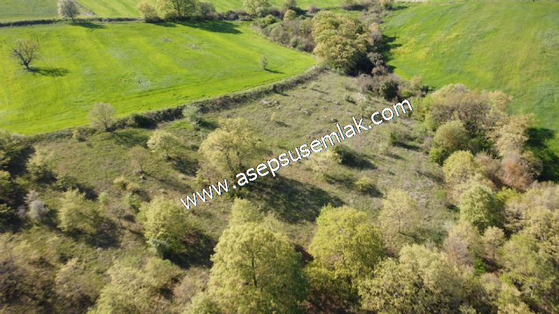 10.918 M2 Yatırımlık Tarla Arıcılık, Hayvancılık Orman'a Cepheli