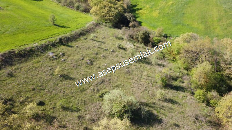 10.918 M2 Yatırımlık Tarla Arıcılık, Hayvancılık Orman'a Cepheli