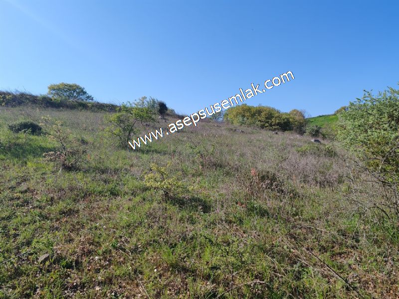10.918 M2 Yatırımlık Tarla Arıcılık, Hayvancılık Orman'a Cepheli