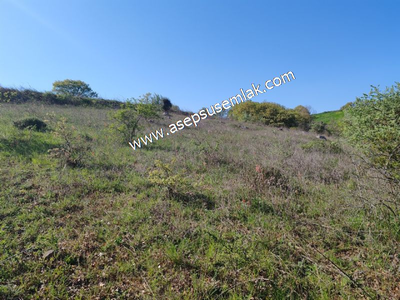 10.918 M2 Yatırımlık Tarla Arıcılık, Hayvancılık Orman'a Cepheli