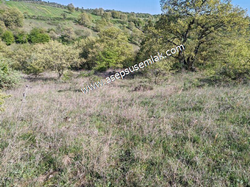 10.918 M2 Yatırımlık Tarla Arıcılık, Hayvancılık Orman'a Cepheli