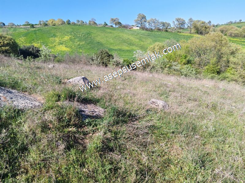 10.918 M2 Yatırımlık Tarla Arıcılık, Hayvancılık Orman'a Cepheli