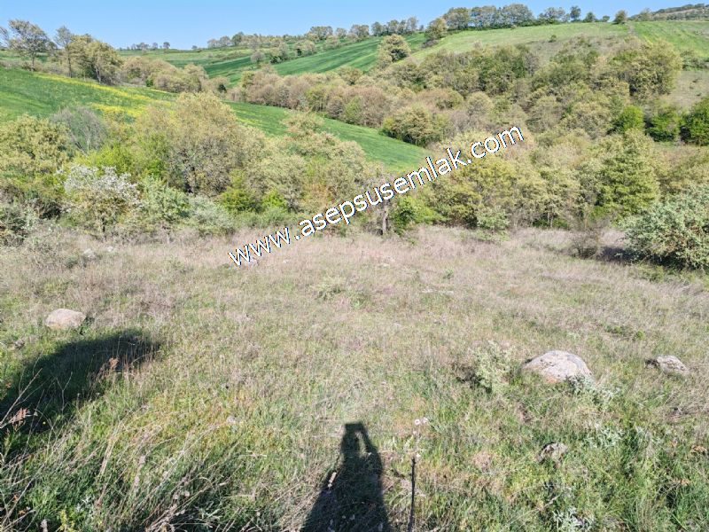 10.918 M2 Yatırımlık Tarla Arıcılık, Hayvancılık Orman'a Cepheli